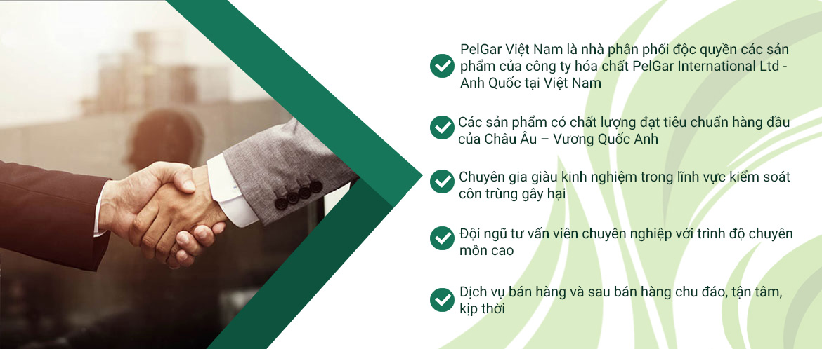 Tại sao chọn stmed